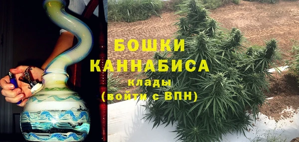 PSILOCYBIN Абаза