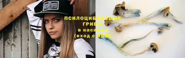 PSILOCYBIN Абаза