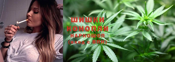 PSILOCYBIN Абаза